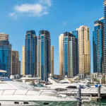 Why Investors Rely On Experienced Developers